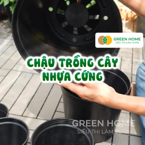 3 Chậu nhựa trồng cây Greenhome 14x15cm nhựa cứng Thoát nước tốt Đa dạng kích thước trồng cây hoa kiểng lá