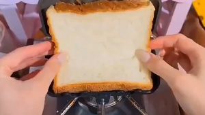 【🔥COD🔥】Hot Dog Toaster Multifunctional Flip Grill Pan Rectangle High Temperature Resistant for Breakfast Pancakes Toast Omelets