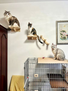 Mensall Wall-Mounted Solid Wood Cat Climbing Frame Anti-Slip Slope Stair Cat Face Jump Platform Multi-Use Cat Cage Cabinet