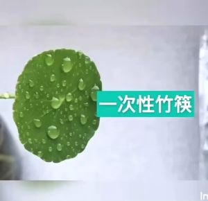 2 In 1 Disposable Bamboo Chopstick with Toothpick Hygienic Wooden Cutlery Penyepit Buluh Pakai Buang 一次性竹筷 10176