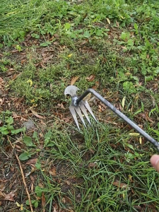 Effortless Garden Weeder Tool | Anti-Rust & Durable | Multi-Surface (Pots/Corners/Gaps)