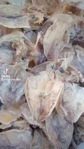 KHÔ MỰC Cà Mau Xuất Khẩu 1 kg KHÔ MỰC NGON ĂN TẾT