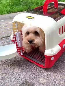 hipidog | Pet Carrier Large