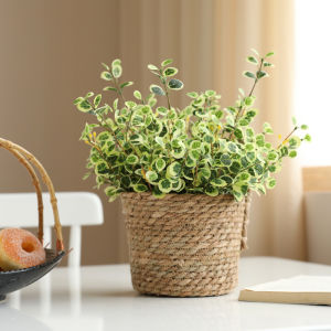 Phong Cách Bắc Âu Bó Hoa Nhỏ Nhân Tạo Bộ Hoa Trang Trí Phòng Khách Chậu Cây Để Bàn Trang Trí Phong Cách Nông Thôn Trang Trí Nhà Cửa