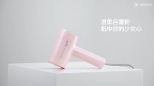 Deroma Deerma GT106 Steam Iron Garment Steamer Hanging Iron - Pink