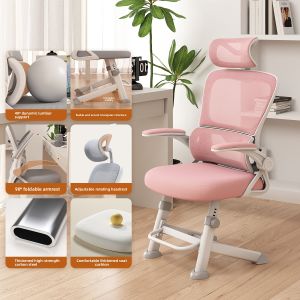 Comfortable Home Office Computer Chair Ergonomic Backrest Learning Esports Chair Study Desk Seat Modern Style Non-Adjustable Backrest