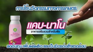 แคบ-นาโน อาหารเสริม ใบเขียวเข้ม เสริมสร้างการเจริญเติบโตของพืช สารสกัดจากกรดอะมิโนจำเป็นที่พืชต้องการ (Cab-Nano)