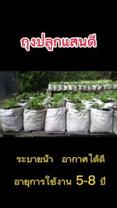 ถุงเพาะปลูก ถุงปลูก ถูกสร้างขึ้น ถูกบำรุงให้สดสด ราคายาก รูปทรงไม่จำ รูปทรงน้อยความซับซ้อน รูปทรงดีและเป็นตัวเลือกที่น่าสนใจ