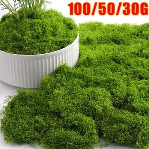100/50/30g Artificial Green Moss Plant Eternal Life Moss Mat Potted Plant Fake Flower Home Garden Decoration DIY Craft Gifts