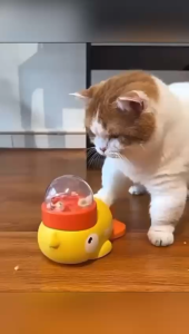 (SG INSTOCK) Duck treats interactive toy for puppy kitten cat and dog
