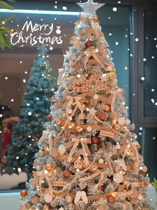 สินค้ายอดนิยม Christmas ฟรีของตกแต่ง 🎄🎄 สินค้าพร้อมส่ง Christmas tree ชุดรวมต้นคริสต์มาส 60/120/150/180/210/240 cm.เครื่องประดับต้นคริสต์มาสขนาดใหญ่ ต้นไม้ตกแต่งบ้าน วัสดุ PVC ไม่มีกลิ่น