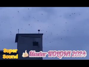 ÂM THANH NHÀ YẾN - TRỌN BỘ MASTER KOLONI 2024 - Hiệu quả cao cho nhà nuôi chim yến