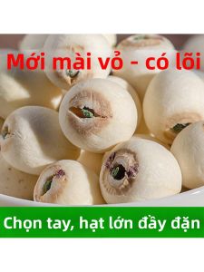 Hạt Sen Trắng Nguyên Vỏ Lớn Vụ Mới 500g Không Lưu Huỳnh