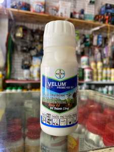Thuốc trừ bệnh VELUM PRIME 400SC