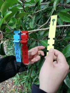 100-200pcs Waterproof Plant Markers Plastic Plant Hanging Tags Gardening Plant Marker Label Tools Garden Pots & Planters Supply