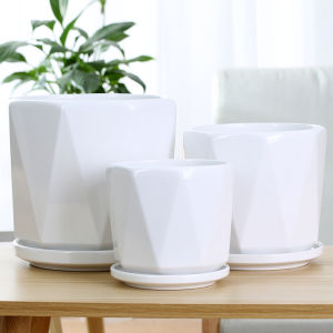 Flower Pot Ceramic Nordic Simple Creative Large Extra Large with Tray Black and White Indoor Green Radish Green Plant Home Specials