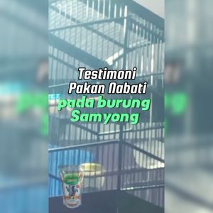 Pakan Burung Samyong Nabati 500 gram