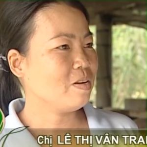 Chế phẩm sinh học Vỗ Béo Chăn Nuôi gia súc gia cầm thú cưng. Sạch mùi hôi chuồng trại sau 5-7 ngày
