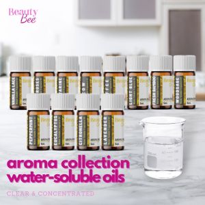 GRAND HYATT BBPH Essential Fragrance Oil Scent Air Humidifier Water Soluble Waterbased Oil Diffuser