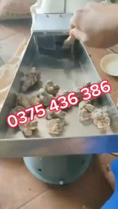 Máy xay tam thất nấm linh chitrầm hương siêu mịn DF45 dạng búa