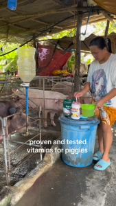 BATTLECOCK VitMinPro 1Kg Multivitamins Probiotics For Pig Poultry Growth And Immunity Booster