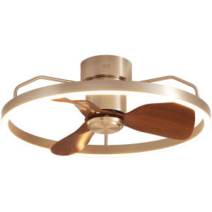 HUIPU ZHAOMING | Retro Style High Brightness Eye-Protective Dining and Bedroom Fan Light