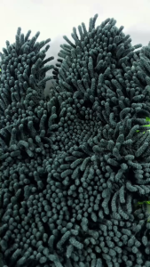 Sarung Tangan Serat Microfiber Cendol Lap Mobil Motor Car Wash Mitt Finger Washing Mitt Cendol