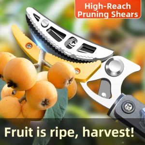 SUHE | Telescopic High-Reach Fruit Picker Pruner