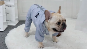 Mojioo สุนัขสะท้อนแสงเสื้อกันฝนกันน้ำเสื้อแจ็คเก็ตสุนัขเสื้อผ้าสุนัขขนาดกลางขนาดเล็ก Hoodies เสื้อกันฝนสำหรับลูกสุนัขสุนัขเสื้อกันฝนสุนัข