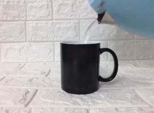 SG Seller Magic Mug Hot Beverage Change Color Cup SHUH DUH FUH CUP / GOOD DAYS START WITH COFFEE Unicorn / Cat Designs