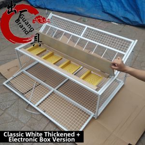 Pigeon Supplies: Understanding Dovecote Pigeon House & Automatic Entrance Cage