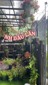 Tinh dầu lăn 2 trong 1 14S 14S2664 Relief 10ml