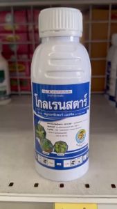 หัวเสือ โกลเรนสตาร์ ขนาด 500 ซีซี ขนาด 500 ซีซี สารกำจัดวัชพืชใบกว้าง เครือเถา ไม่มีผลต่อข้าวโพด ยาทาตอ ตอไม้ กระถิน ผักบุ้ง หญ้ายาง ในข้าวโพด อ้อย นา ปาล์ม ยางพารา