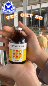 VET OXY SB 50ml - VET OXY SB 100ml Obat Antibiotik Hewan sapi kambing domba kuda babi anjing kucing
