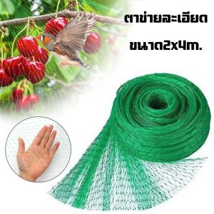 ตาข่ายกันนก ตาข่ายปลูกผัก คลุมบ่อปลา ตาถี่ ขนาด 2x4 เมตร กันสัตว์ได้ อวนปลูกผัก ค้างแตง ไม้เลื้อย คุณภาพดี พร้อมจัดส่งจากกทม.