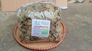 1kg cây muồng trâu sấy khô