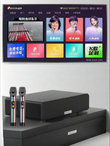 DAOUBO | Wireless Smart Karaoke System