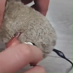 หนูของเล่นแมว ของเล่นแมว หนูไขลาน หลากสี ของเล่นสัตว์เลี้ยง ของเล่นไขลาน พร้อมส่งในไทย