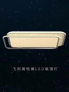 Philips | Luxury Mid-century Modern Style Bedroom Living Room Main LED Ceiling Light