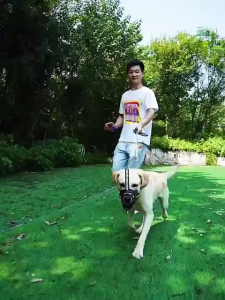 Muzzle Anjing B.G.B Dog mouth cover anti bite Anti-bite Mouth Guard Pet Supplies Anti Bark Adjustable Training 狗嘴套