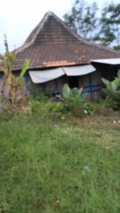 Cuka Apel Maagnolia Original 500ml - Solusi Alami untuk Kesehatan Pencernaan