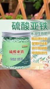 Iron Sulphate Fertilizer Ferrous Sulphate Nutrient soil for Gardenia Flower Plant Photosynthesis Booster 硫酸亞鐵花肥料
