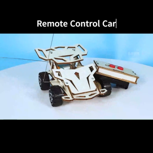 DIY Handmade Science STEM Kit: DIY Remote Control DIY Toys : Educational Science Toys: STEM Toy for Kids Wooden Toys
