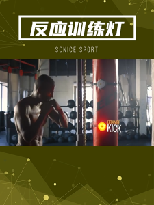 Reaction training lights Luminous induction Agility training Football basketball training equipment