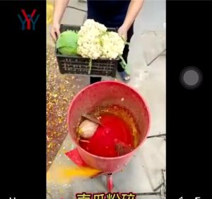 เครื่องบดผักผลไม้ Vegetable grinder เครื่องบดอาหารสัตว์ 600-900กิโลกรัม/1ชั่วโมง