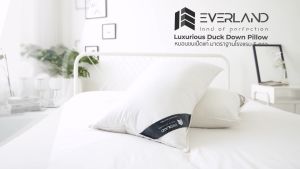 Everland หมอนขนเป็ดแท้ 100% มาตรฐานเดียวกับ หมอนโรงแรม 5-6 ดาว หมอนหนุนสุขภาพ ให้สัมผัสความนุ่มสบาย