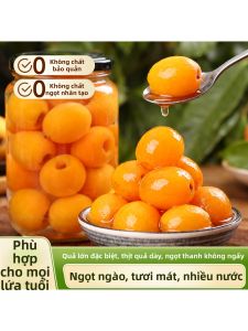 Loquat Dessert Canned Fruit Large Size