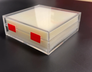 8150 Premium Crystal Box – Perfect for Bird Nest Festival Biscuits & More ! - 30 pcs / carton