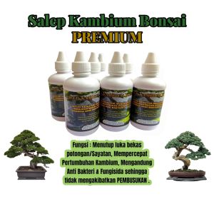 Salep Kambium Bonsai-Formula Kambium PREMIUM (100ml)
