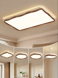 DGY | Protective Eye Bright French Vintage Flush Mount Light